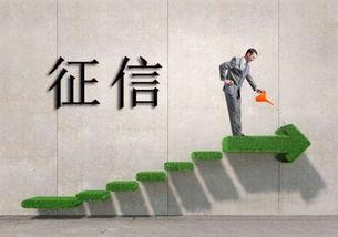 借貸寶是否上征信？互聯(lián)網(wǎng)接入及相關服務解析